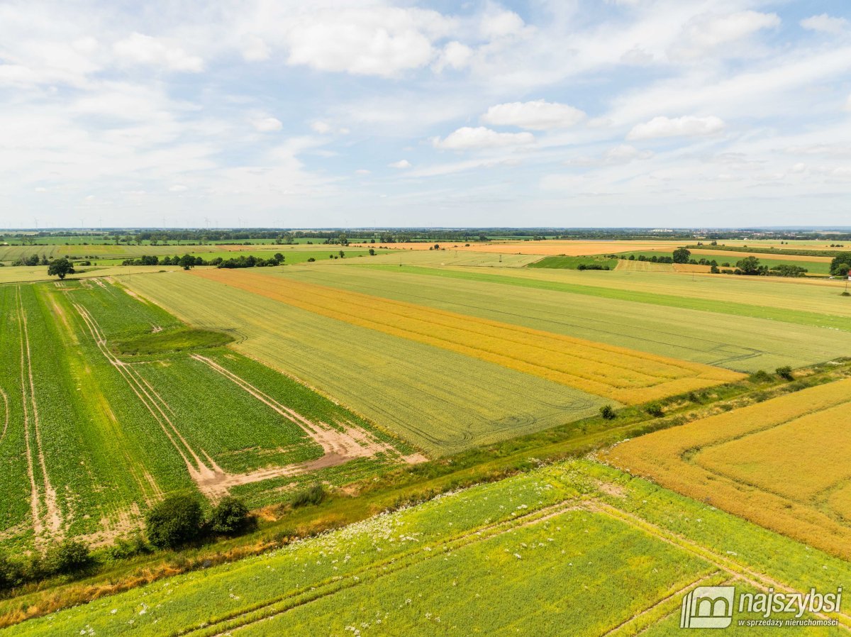 Obromino - działka rolna 158- powierzchnia 2,32 ha (6)