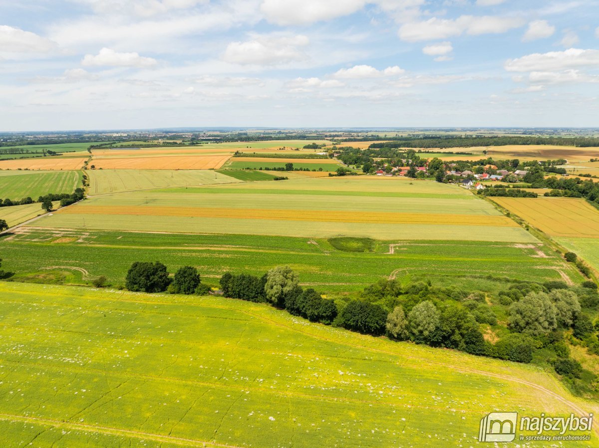 Obromino - działka rolna 158- powierzchnia 2,32 ha (8)