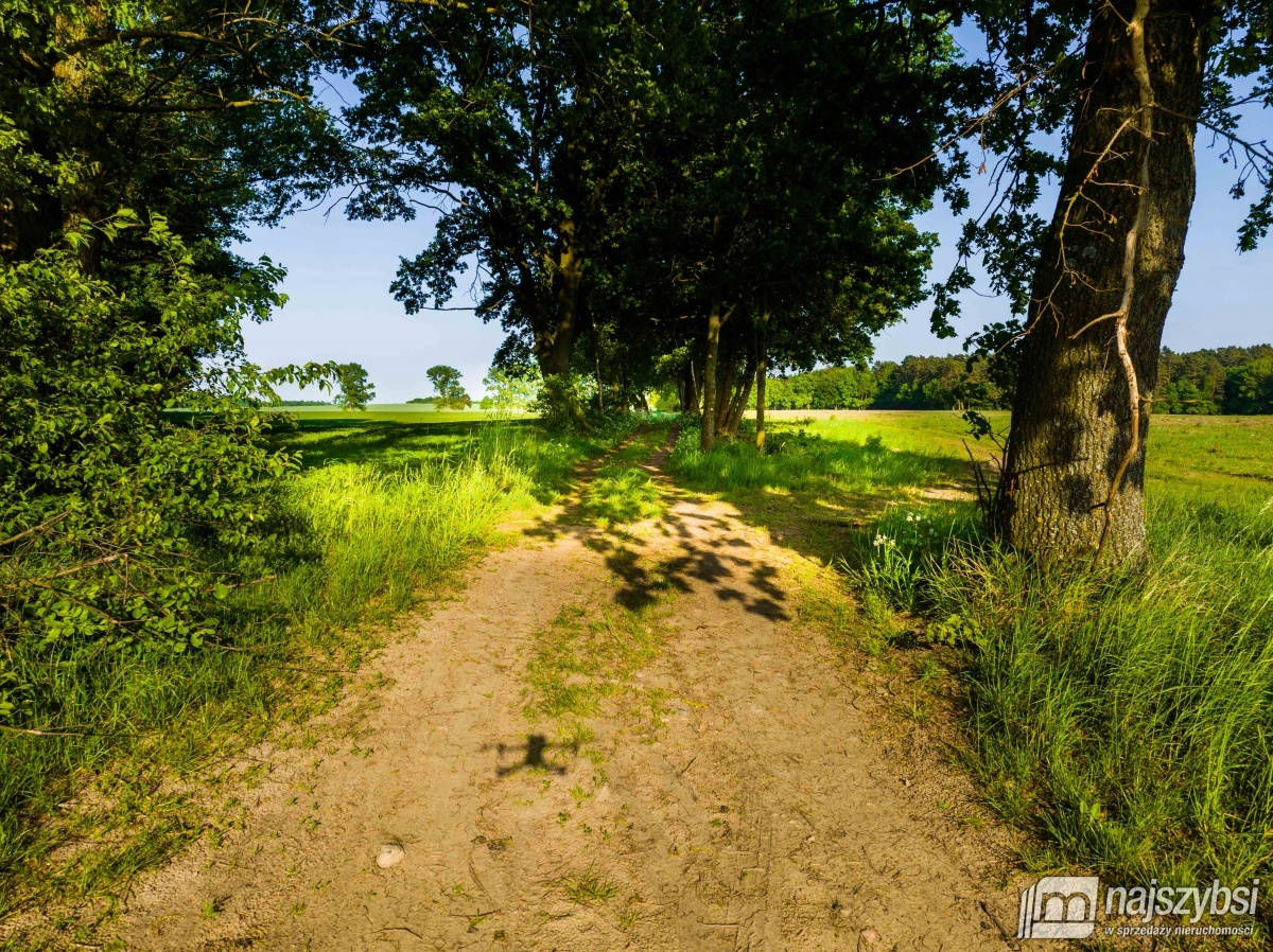 Działka, Kościuszki Obrzeża (8)