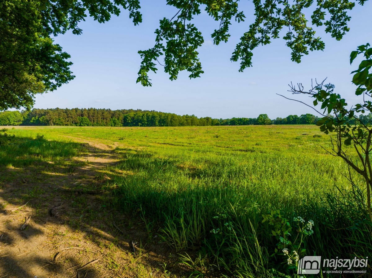 Działka, Kościuszki Obrzeża (9)