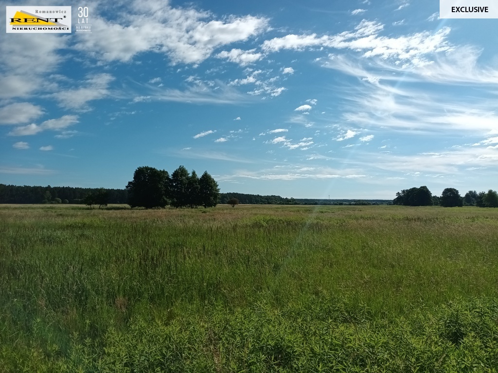 Działka z potencjałem w Wielgowie (4)