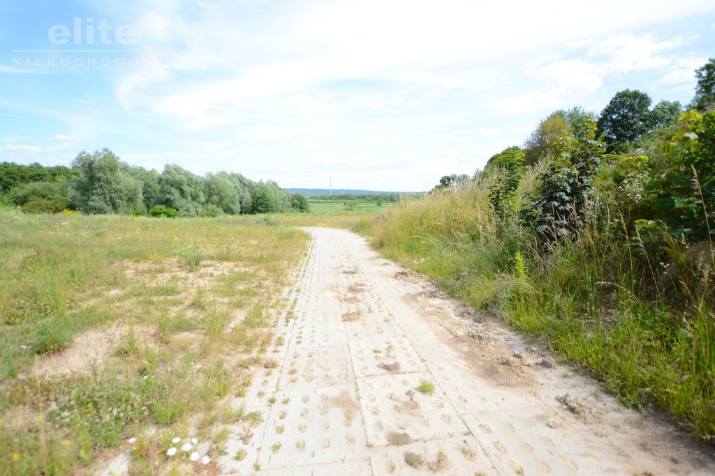 Kurów działka z widokiem na rzekę oraz z mediami (7)