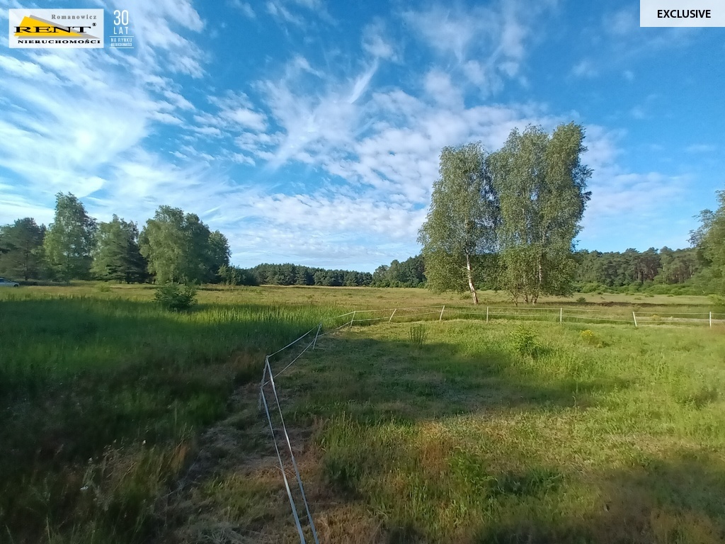 Działka budowlana przy lesie, MPZP, Wielgowo (8)