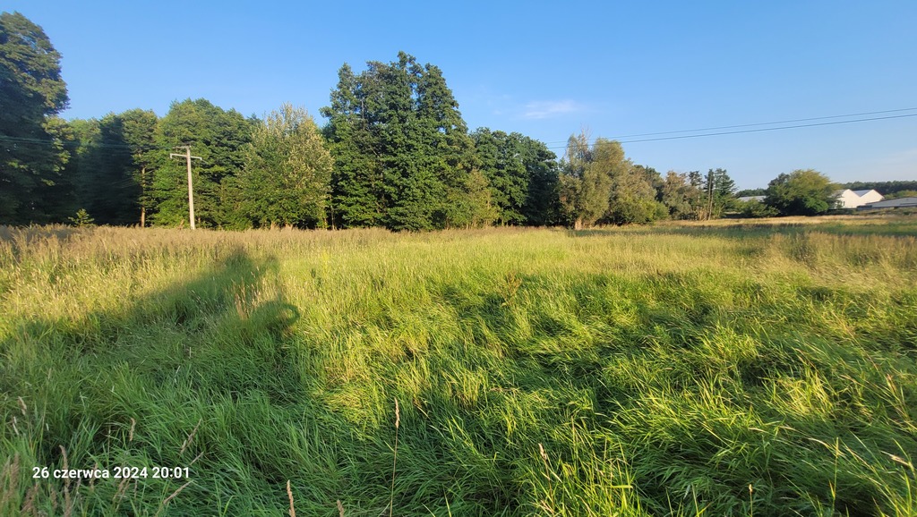 Usługowa, 41,606 m2, Sierakowo  (1)