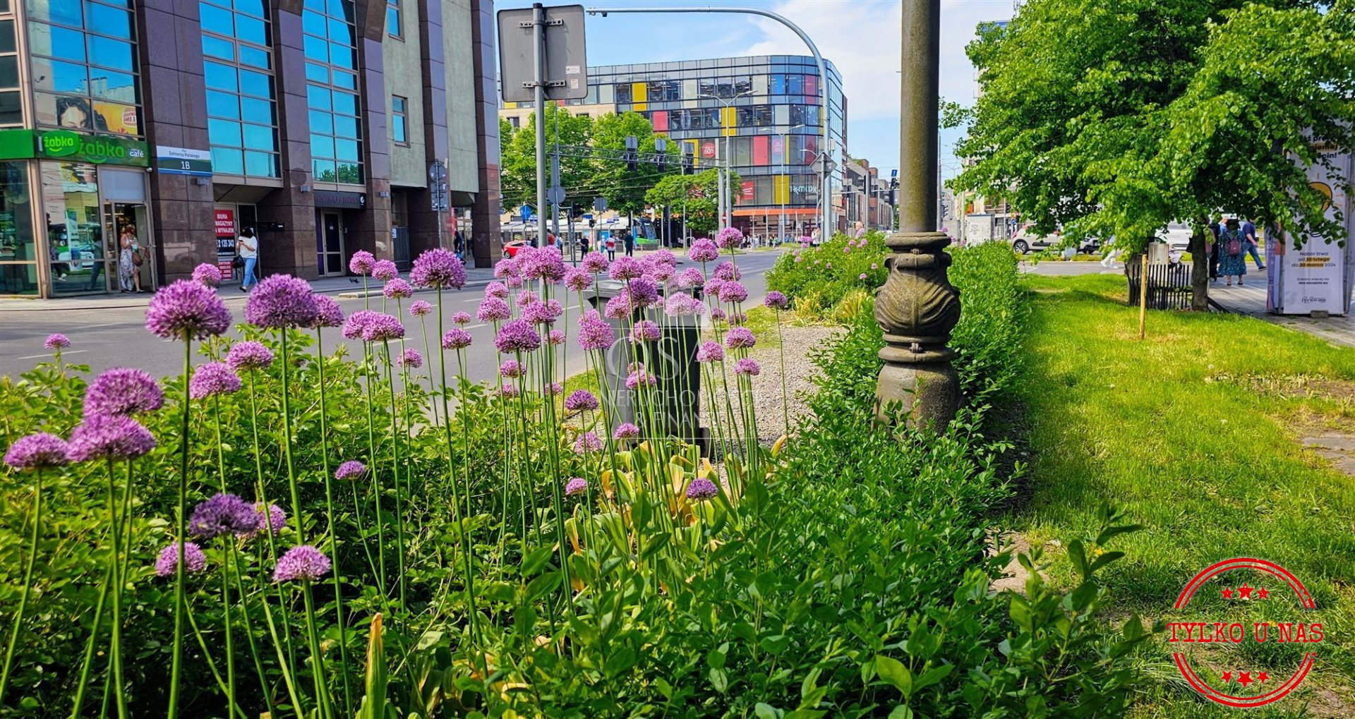 Mieszkanie, 2 pok., 47 m2, Szczecin Centrum (1)