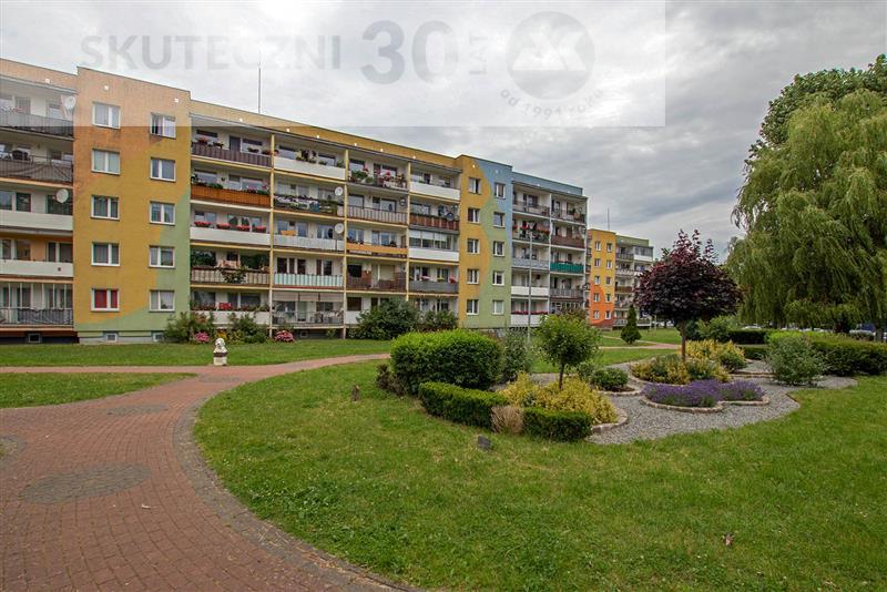 Mieszkanie, 2 pok., 48 m2, Koszalin Morskie Plac Zabaw, Przedszkole, Szkoła Podstawowa (13)