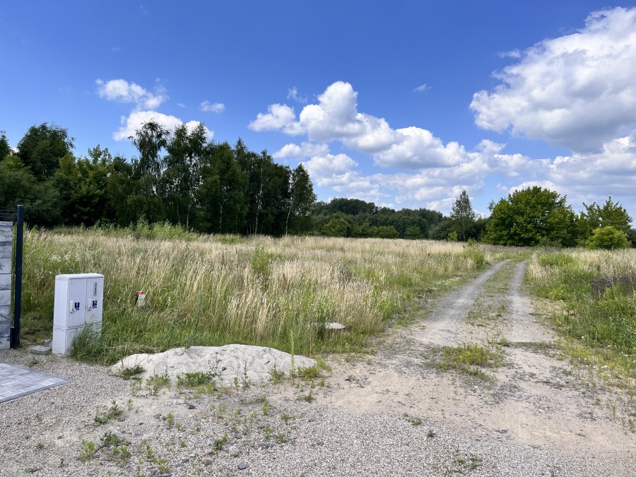 DZIAŁKA   W POBLIŻU JEZIORA MIEDWIE (3)