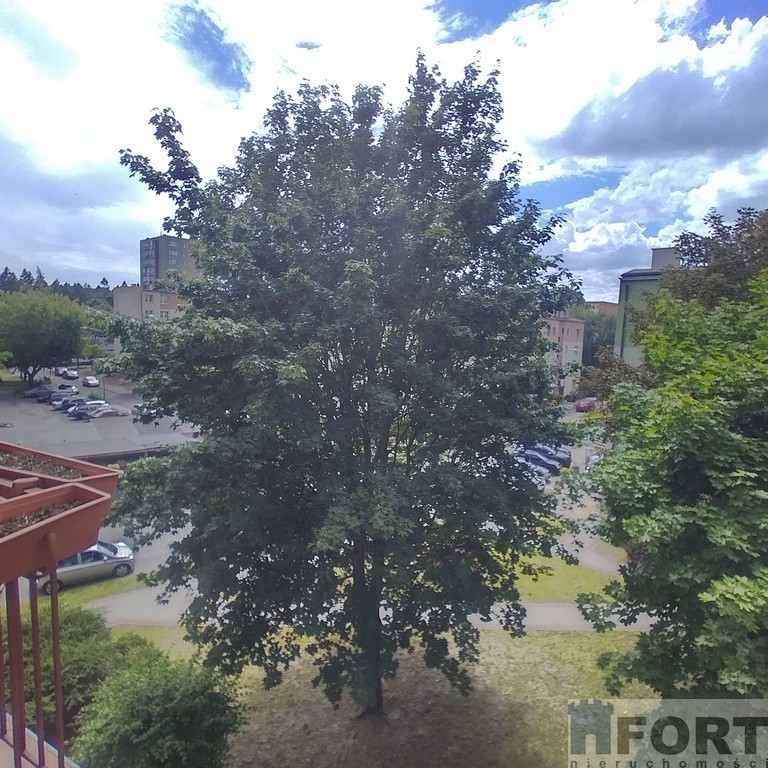 * 3 pokoje*  50m2* balkon Świerczewo (14)