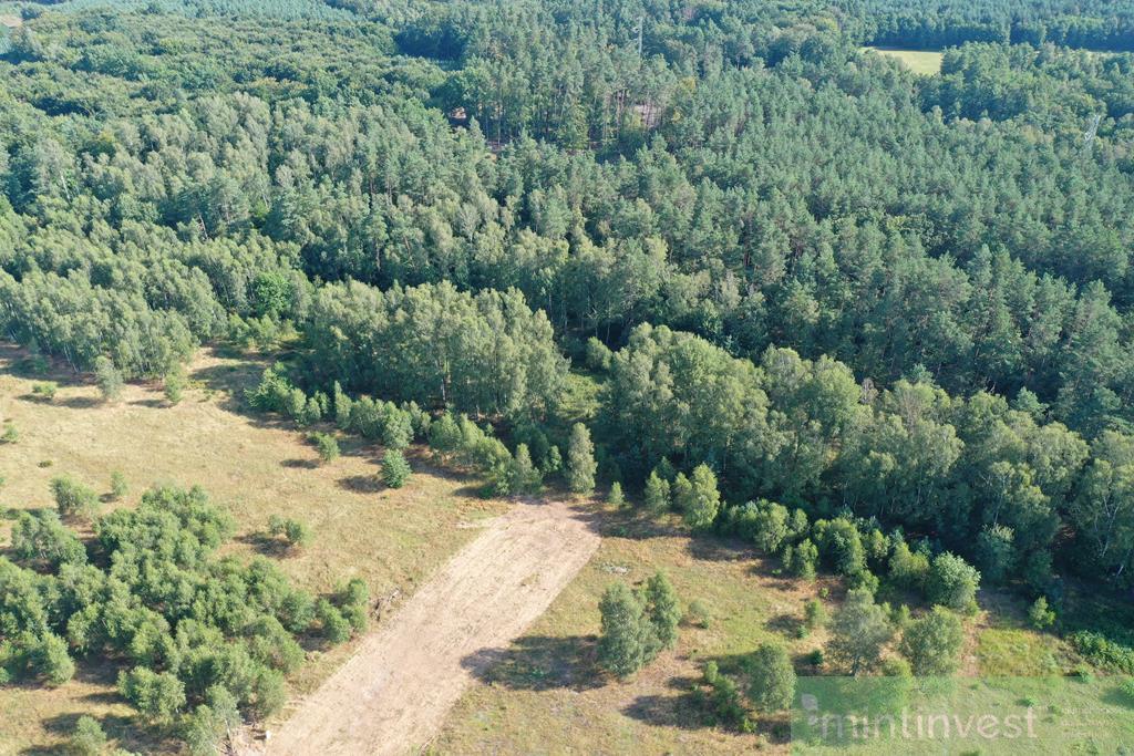 Działka budowlana pod lasem w niższej cenie (1)