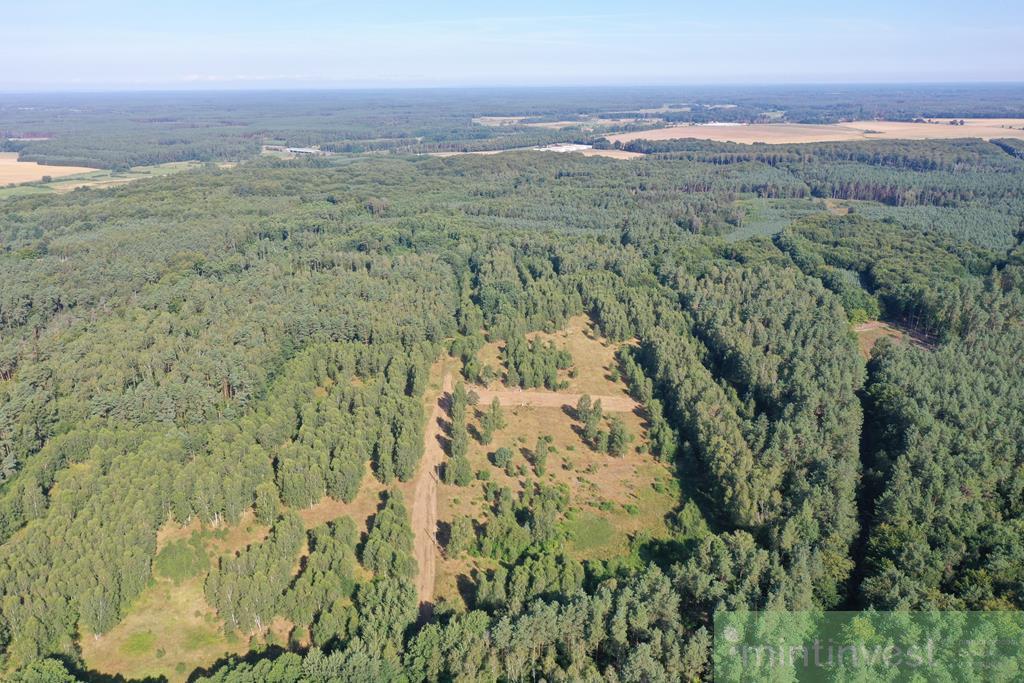 Działka budowlana pod lasem w niższej cenie (4)