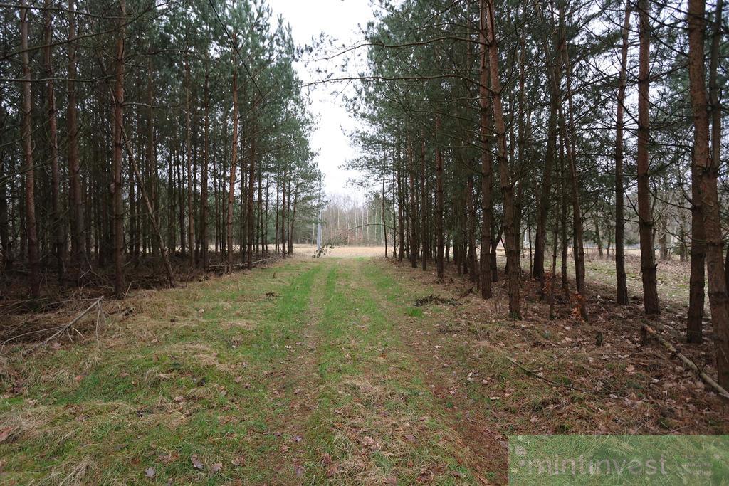 Działka budowlana pod lasem w niższej cenie (6)