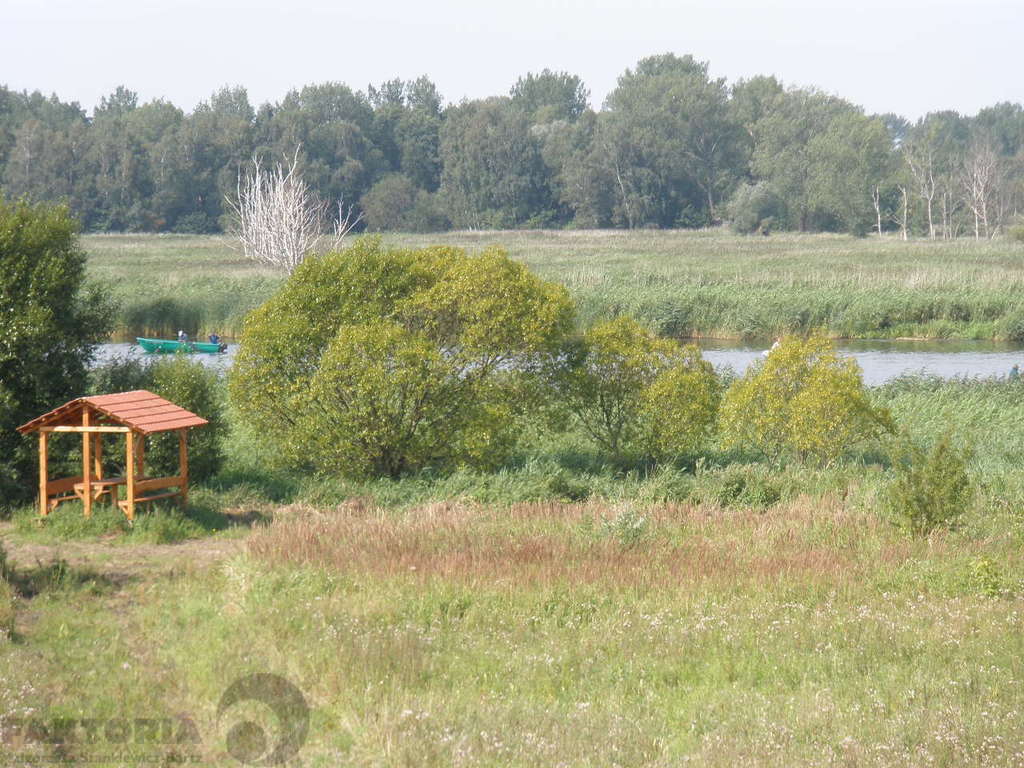 kamień Pomorski działki przy Zalewie Szczecińskim (7)