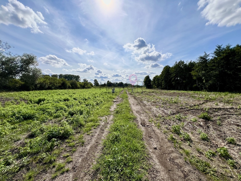 OSTATNIE 7 działek w kompleksie - piękna okolica (11)