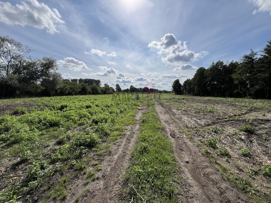 OSTATNIE 7 działek w kompleksie - piękna okolica (12)