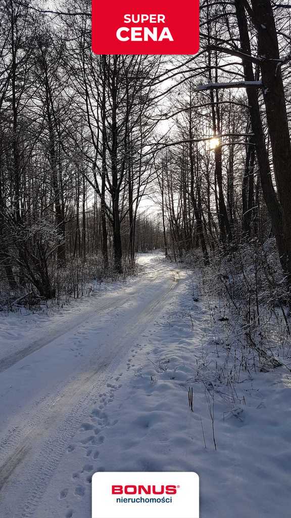 Działki z linią brzegową z warunkami zabudowy. (8)