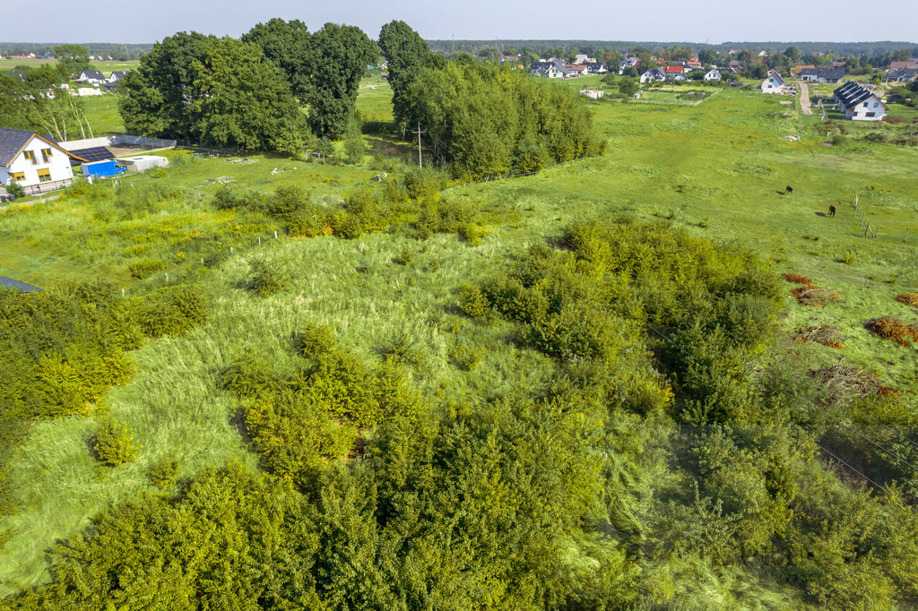 Działka rolna w Kliniskach na sprzedaż (5)