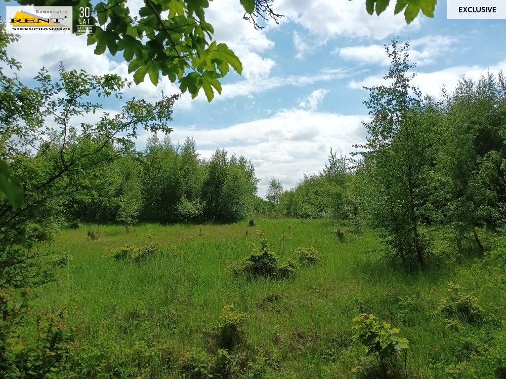 Działka wśród lasu blisko jeziora i pola golfowego (11)