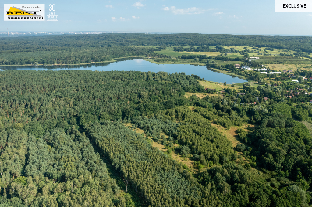 Działka wśród lasu blisko jeziora i pola golfowego (1)