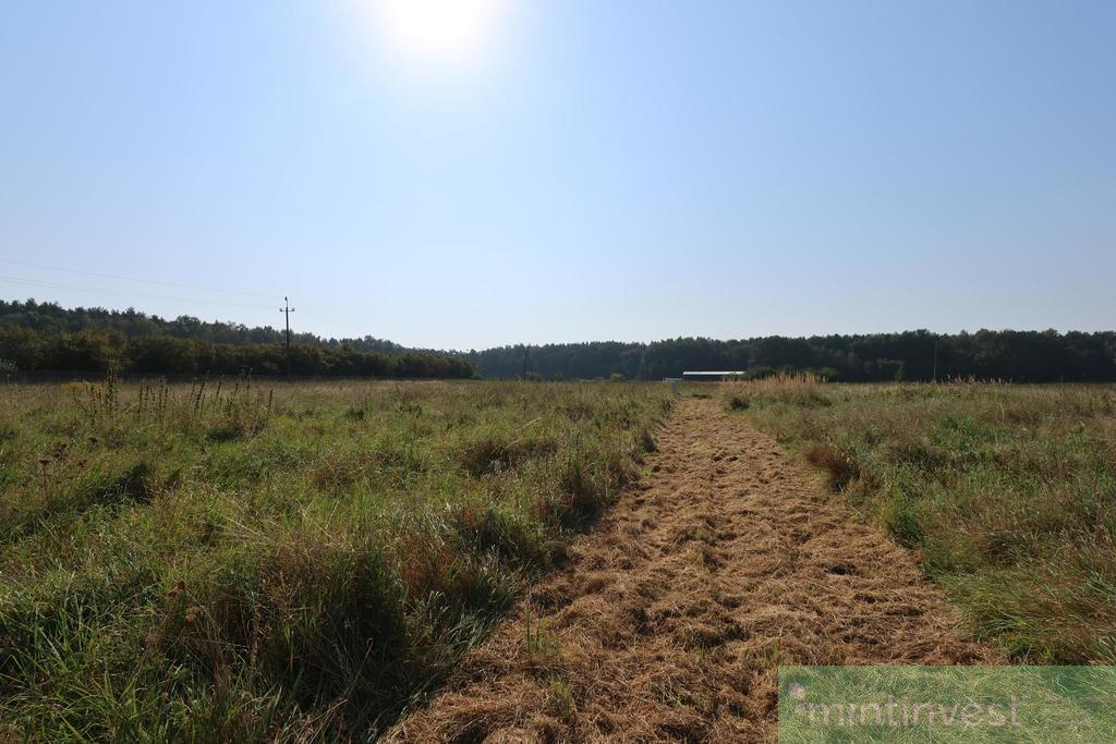 Działka pod zabudowę w Modrzewiu (6)