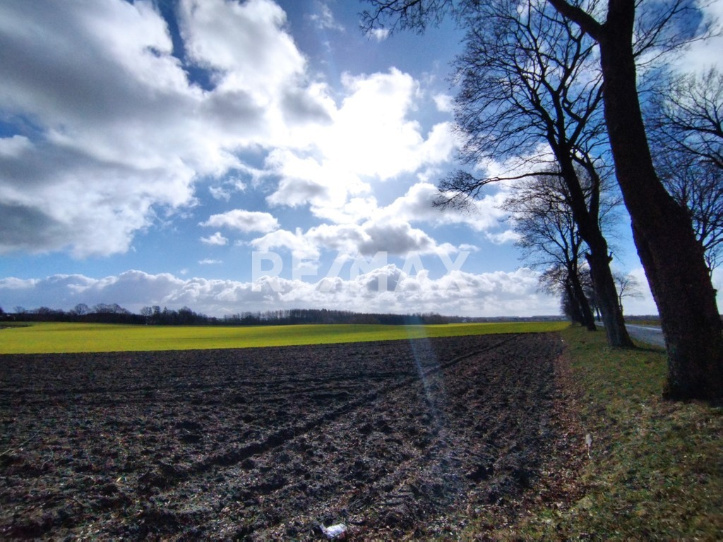 Okazja! Działka 17 km od Kołobrzegu (5)