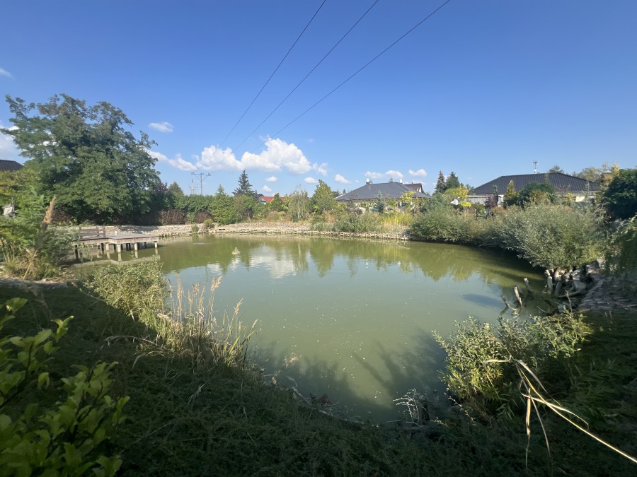 Rancho Z Prywatnym Stawem i Domkiem Dla Gości (7)