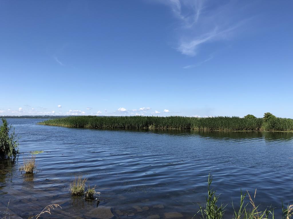 Tanie działki nad Jeziorem Dąbie. (8)