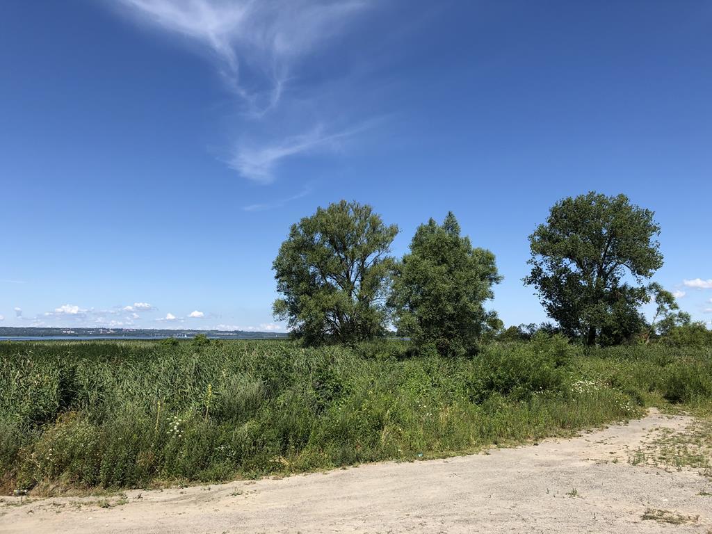 Tanie działki nad Jeziorem Dąbie. (3)