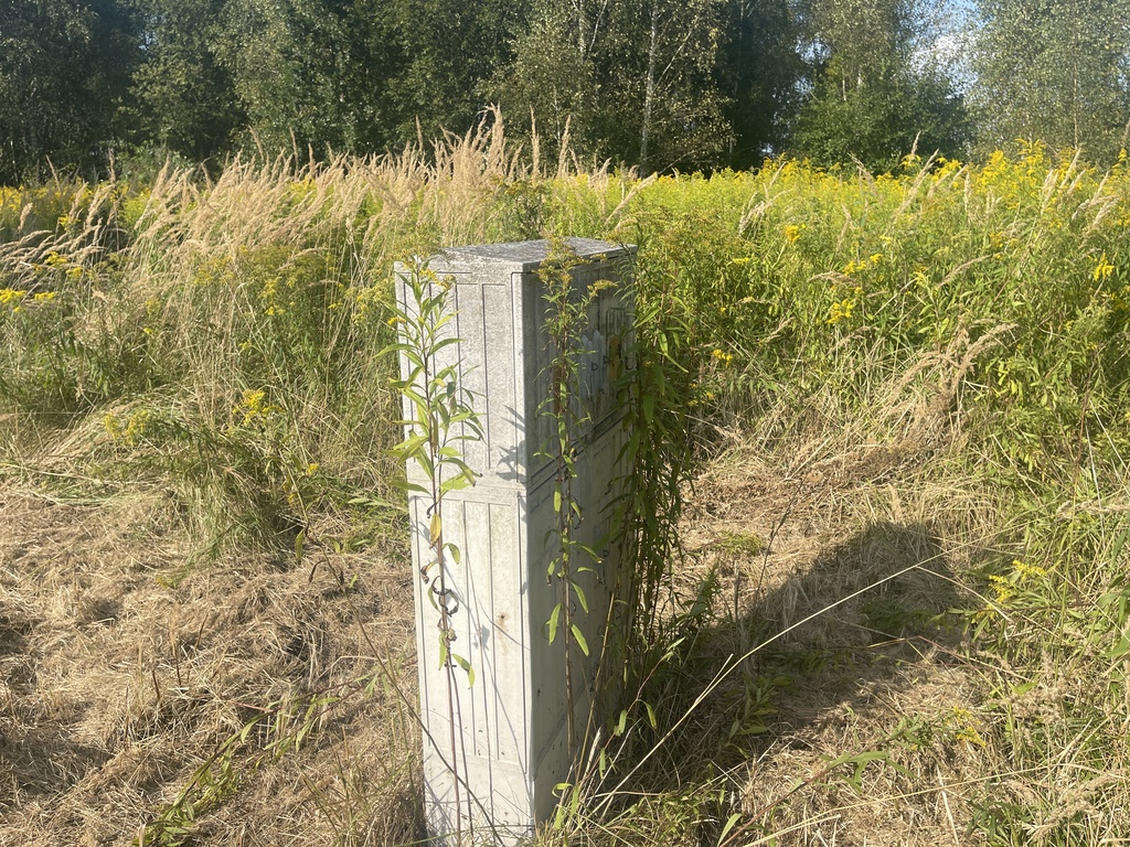 Działka  pod zabudowę pod Goleniowem/ Żółwia Błoć (7)