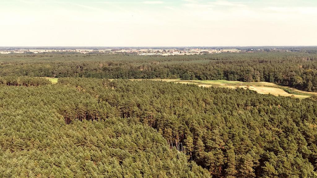 Działka budowlana w Strumianach - bliskość natury (9)