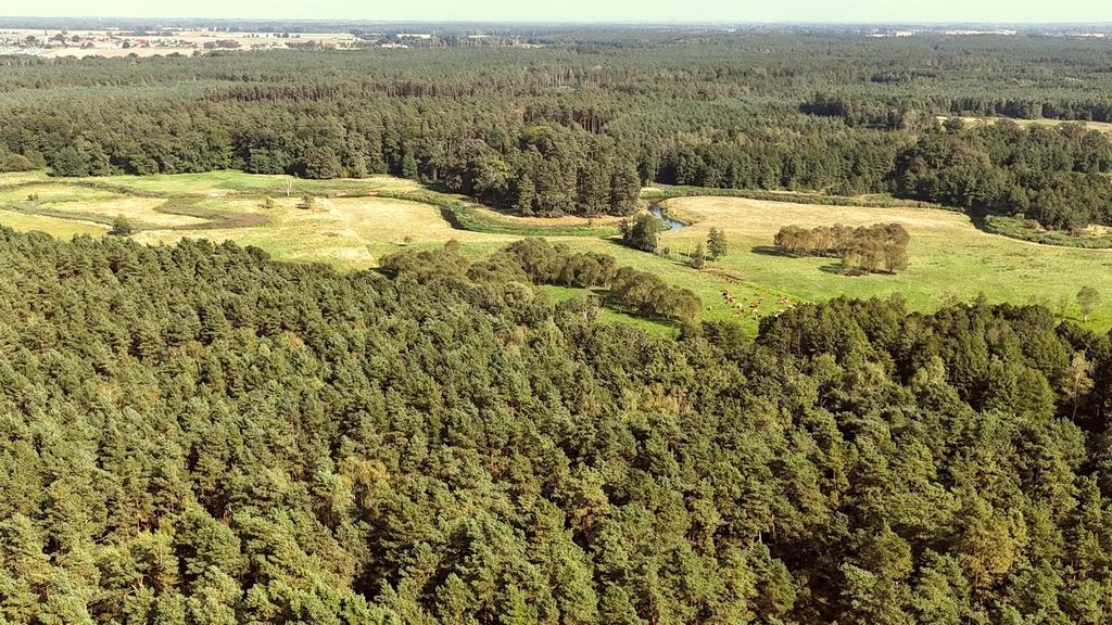 Działka budowlana w Strumianach - bliskość natury (10)