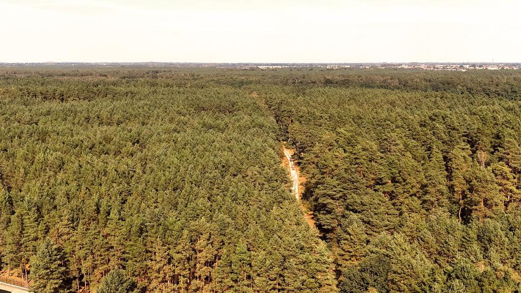 Działka budowlana w Strumianach - bliskość natury (13)