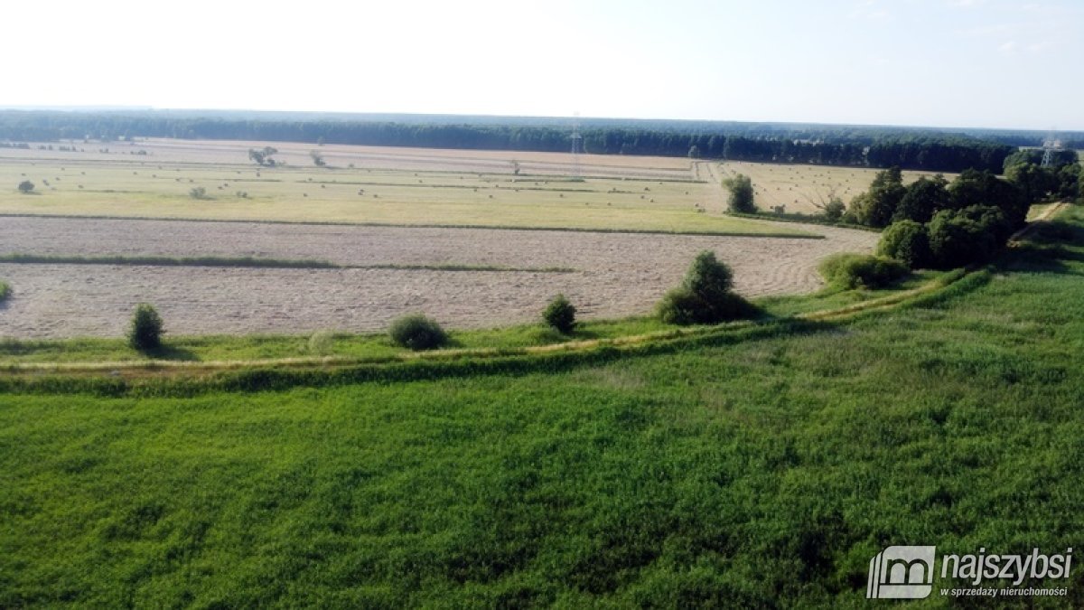 DZIAŁKA ROLA - 5,91 ha (10)