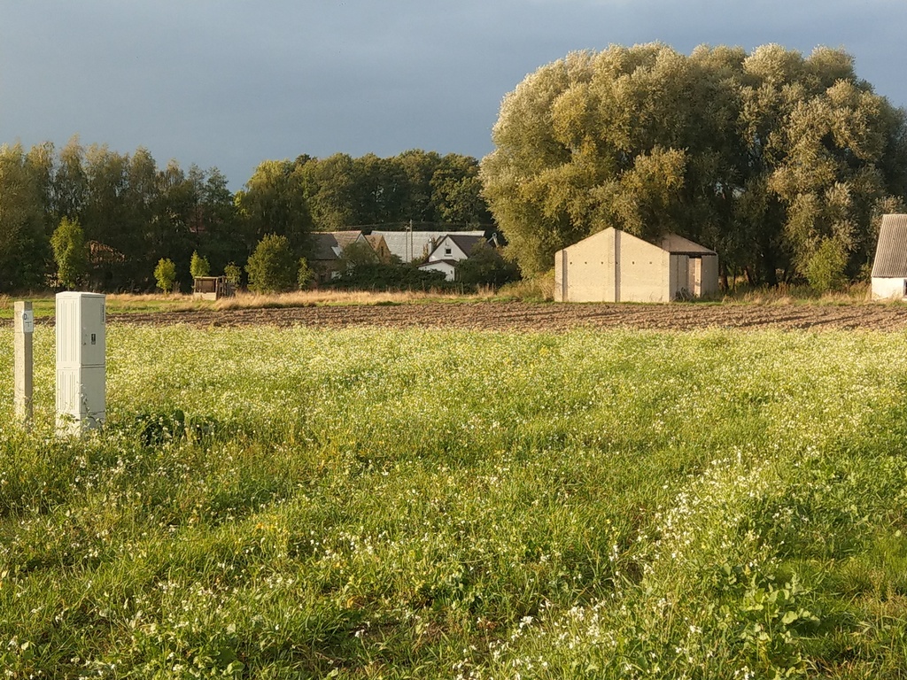 Świetny teren inwestycyjny - Sierosław (1)