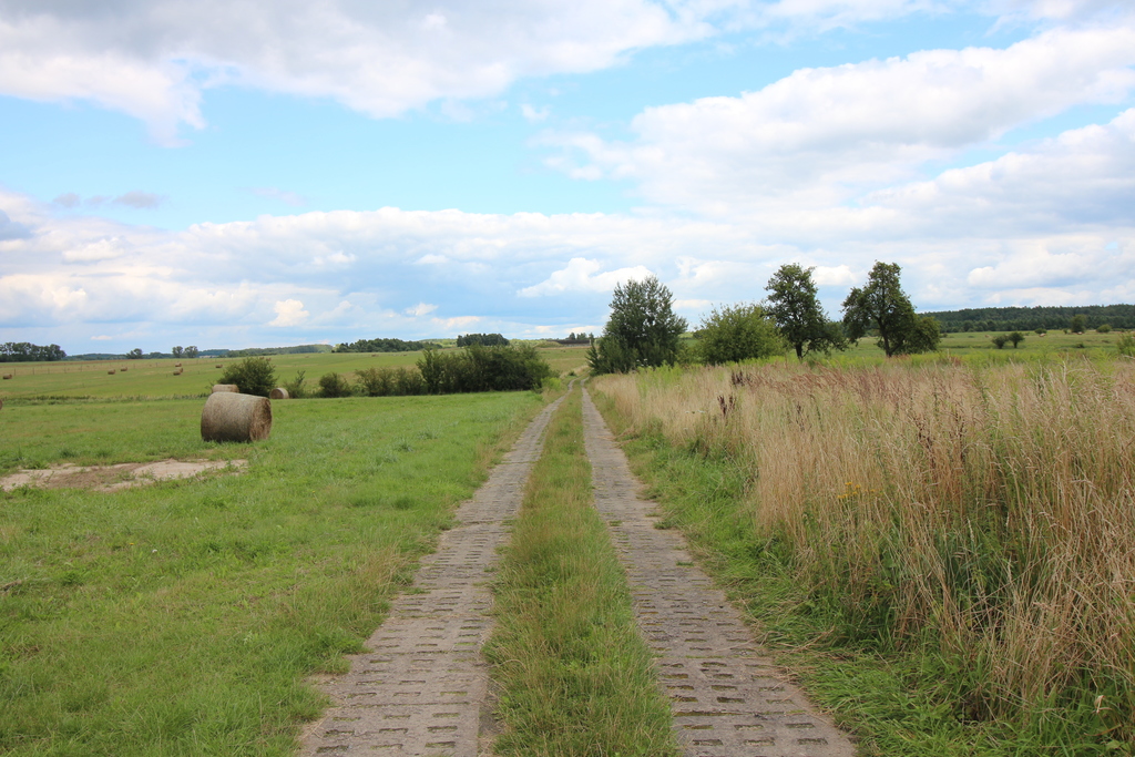 Działka inwestycyjna w pięknej okolicy (4)