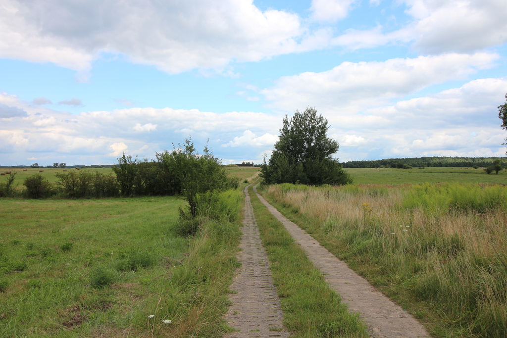 Działka inwestycyjna w pięknej okolicy (2)