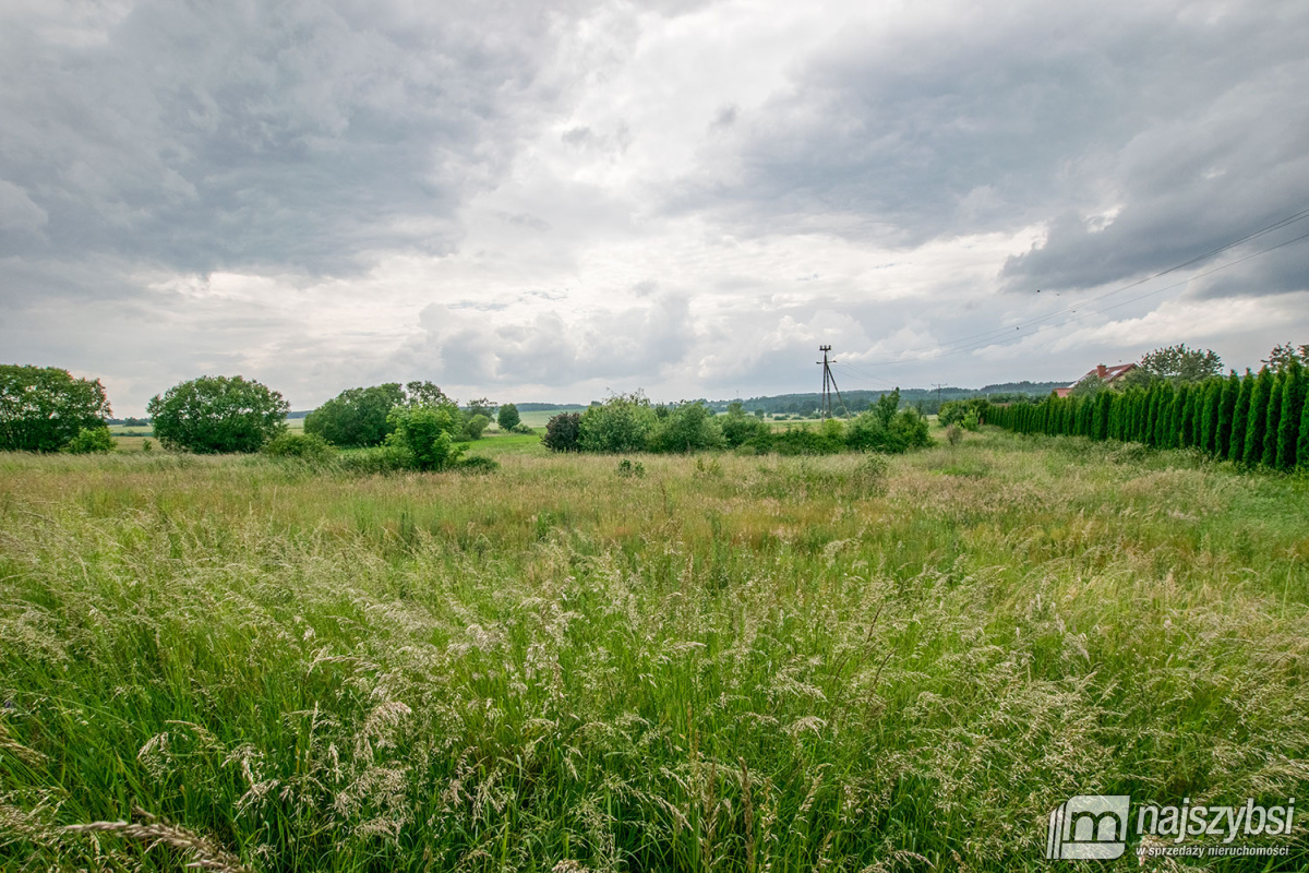 Barwice- duża działka w mieście. (3)