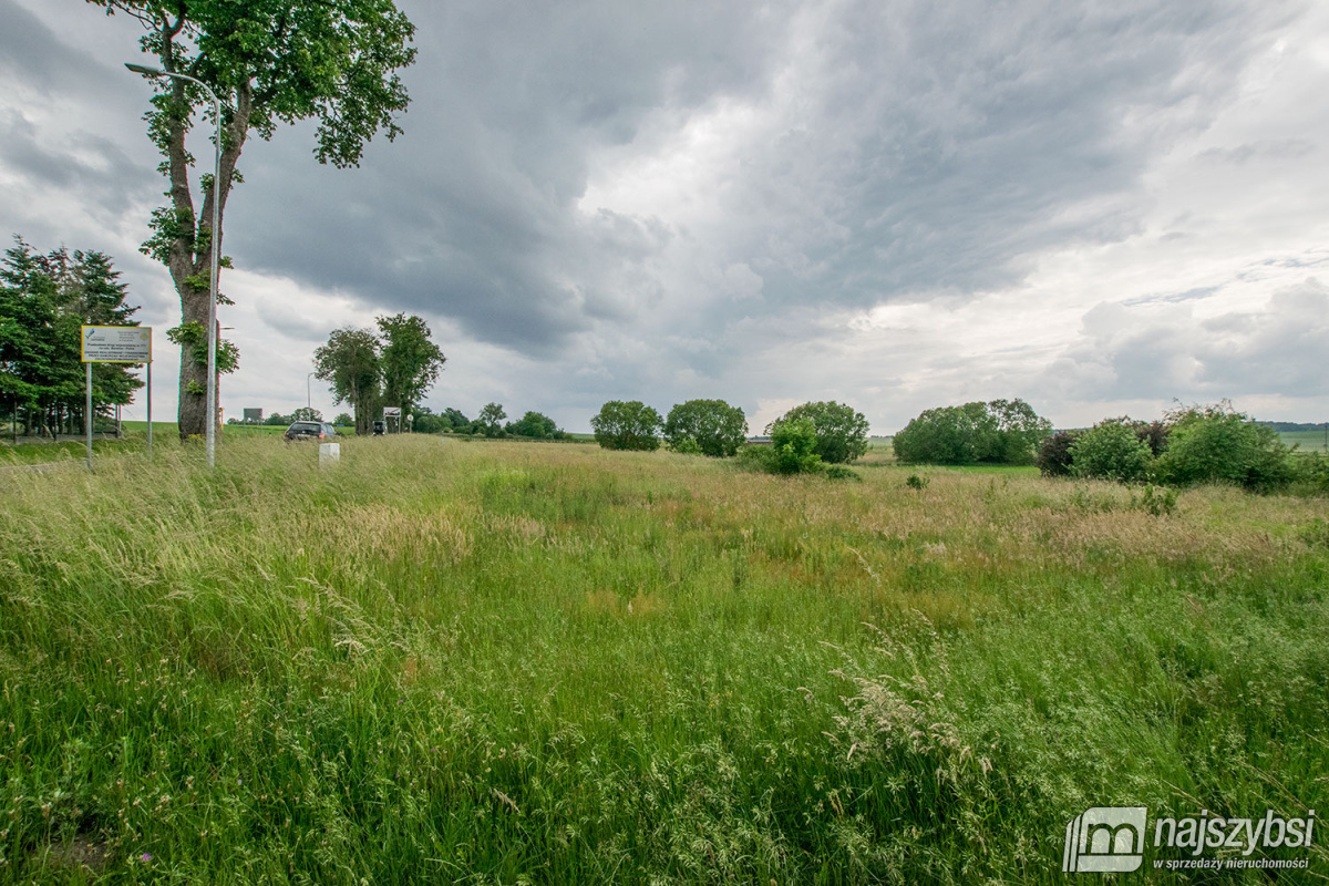 Barwice- duża działka w mieście. (7)