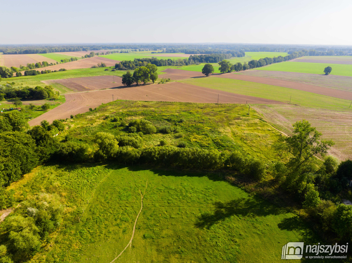 Dębice- Działka pod Halę, DPS, osiedle -2,2324 HA  (10)