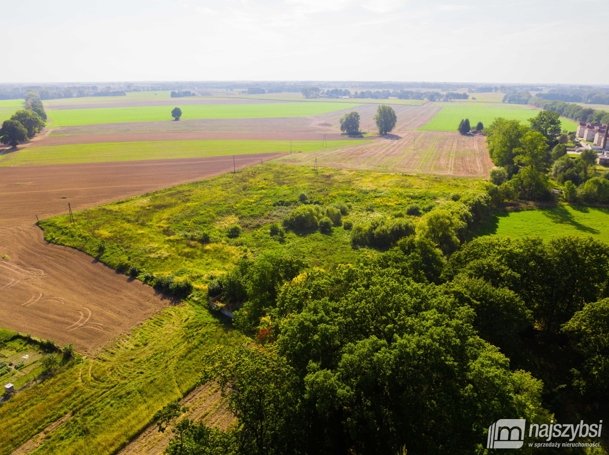 Dębice- Działka pod Halę, DPS, osiedle -2,2324 HA  (11)