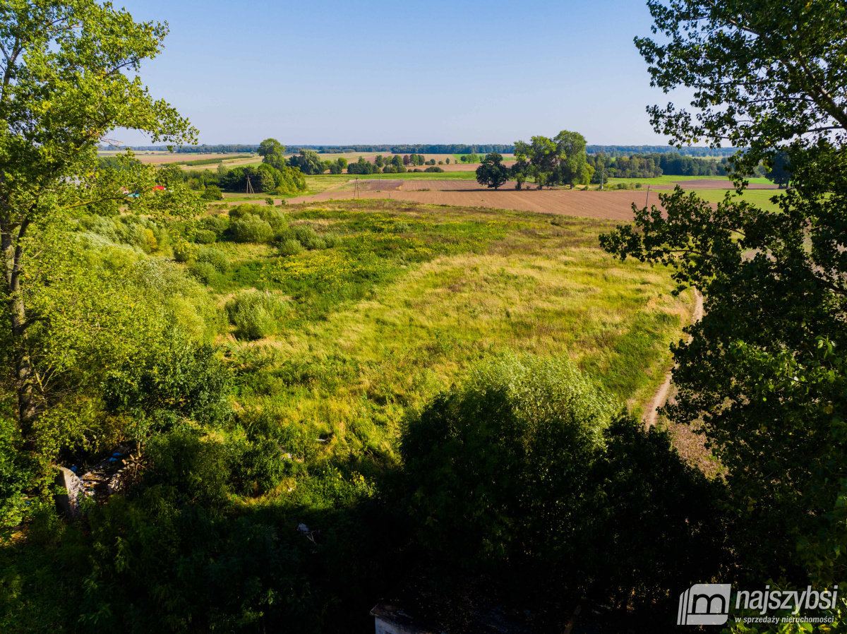 Dębice- Działka pod Halę, DPS, osiedle -2,2324 HA  (14)