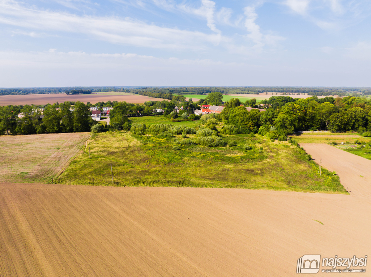 Dębice- Działka pod Halę, DPS, osiedle -2,2324 HA  (15)