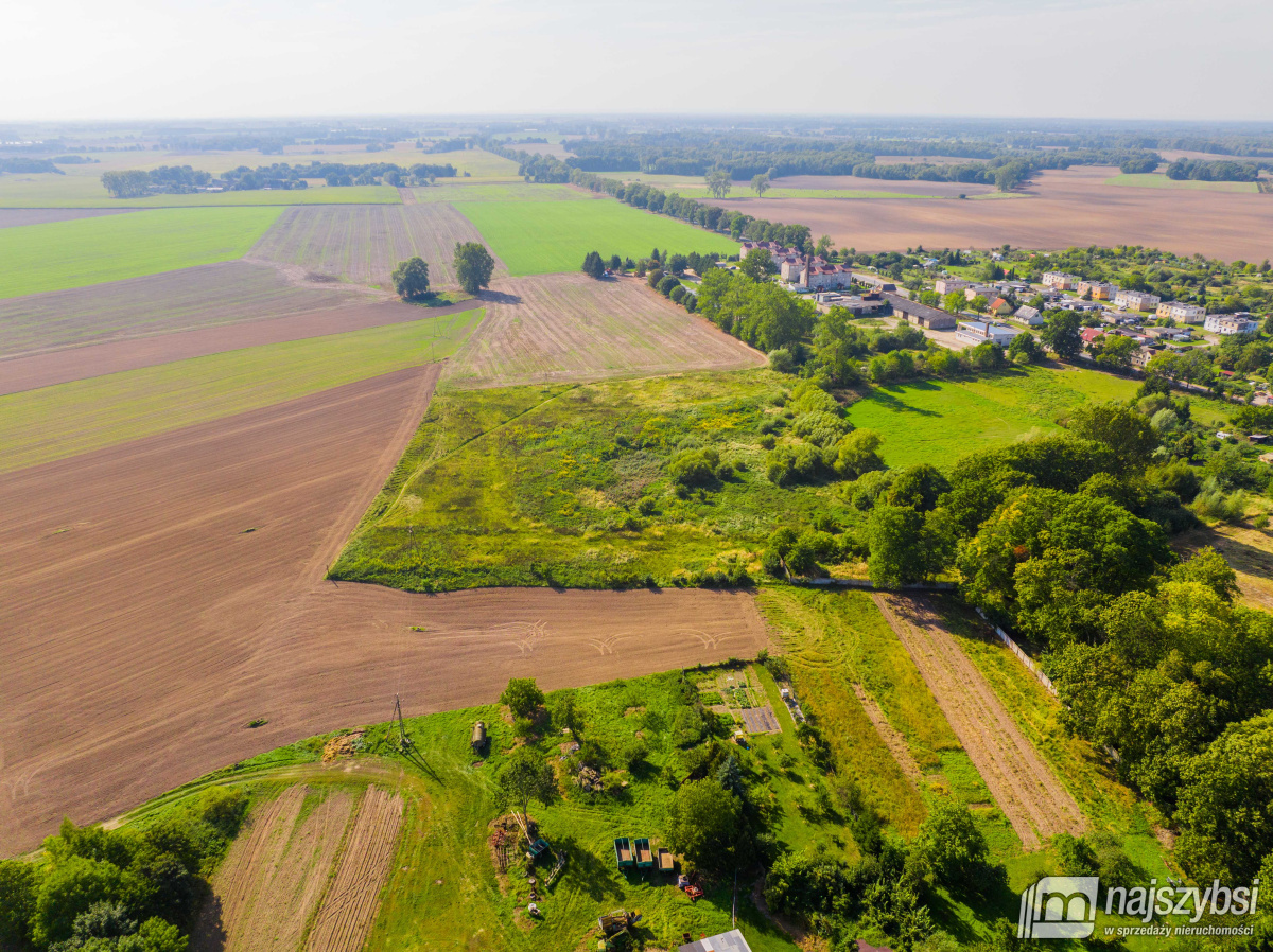 Dębice- Działka pod Halę, DPS, osiedle -2,2324 HA  (19)