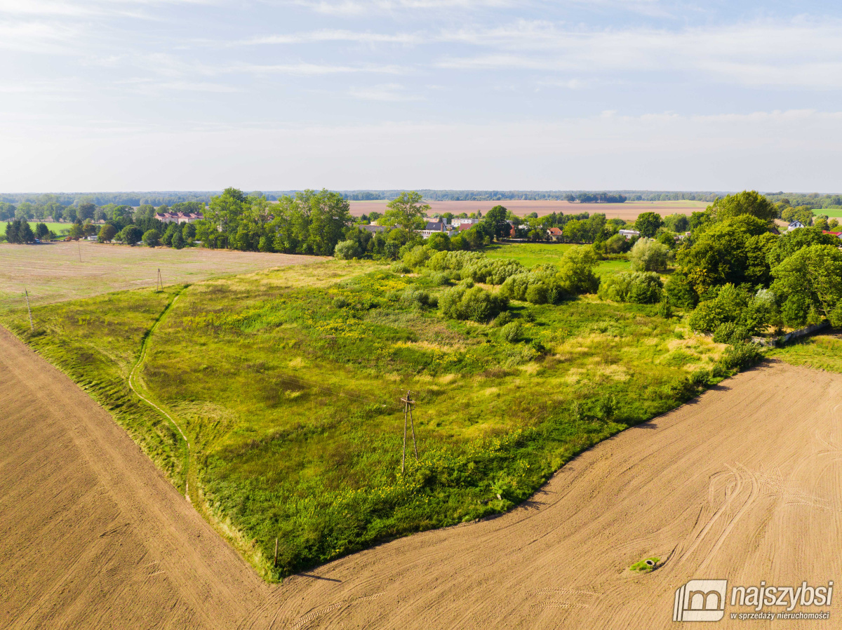 Dębice- Działka pod Halę, DPS, osiedle -2,2324 HA  (2)