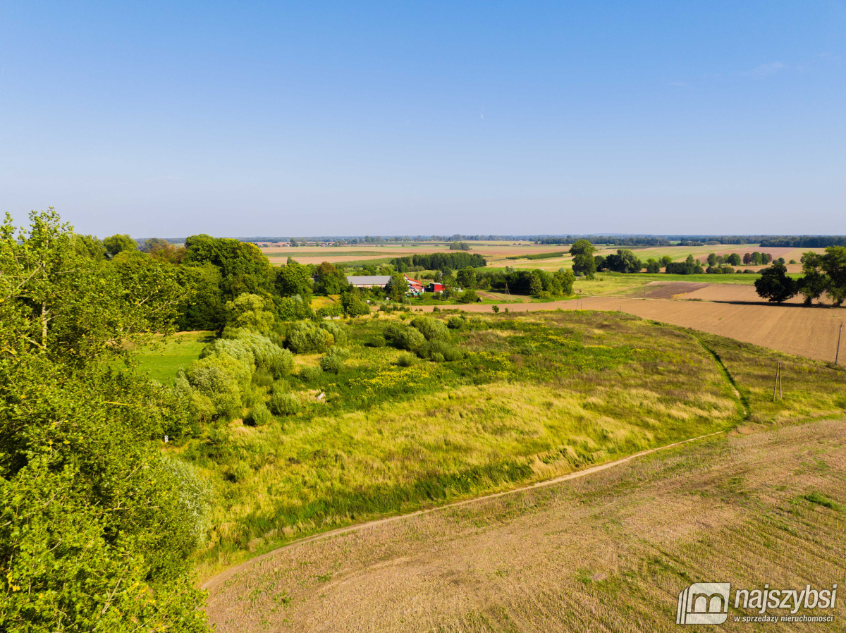 Dębice- Działka pod Halę, DPS, osiedle -2,2324 HA  (7)