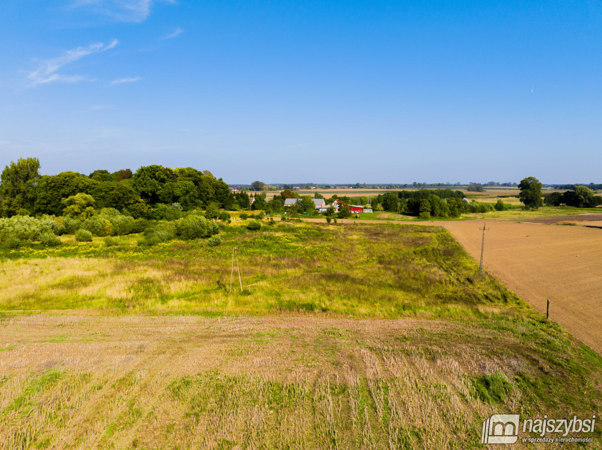 Dębice- Działka pod Halę, DPS, osiedle -2,2324 HA  (8)