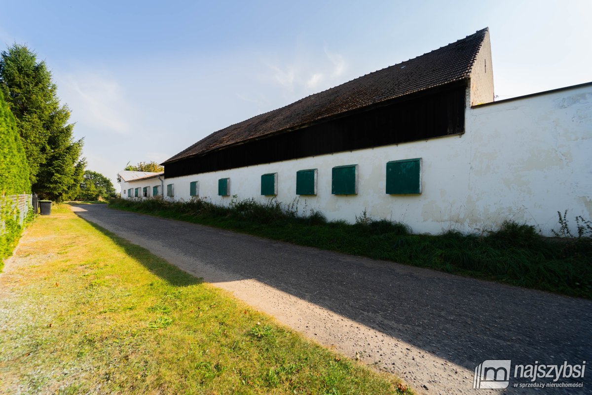 Goleniów - bliska okolica, HALA/MAGAZYN na wynajem (1)