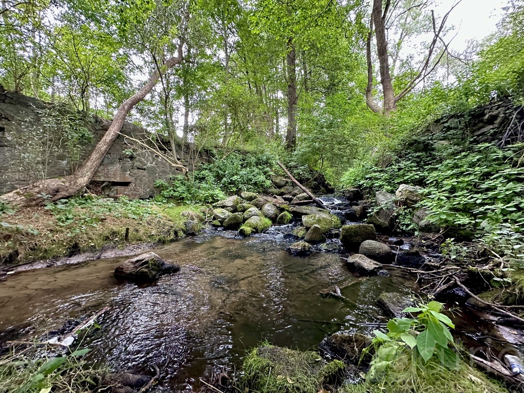 Piękna działka w Stawnie, 2,92 ha (1)