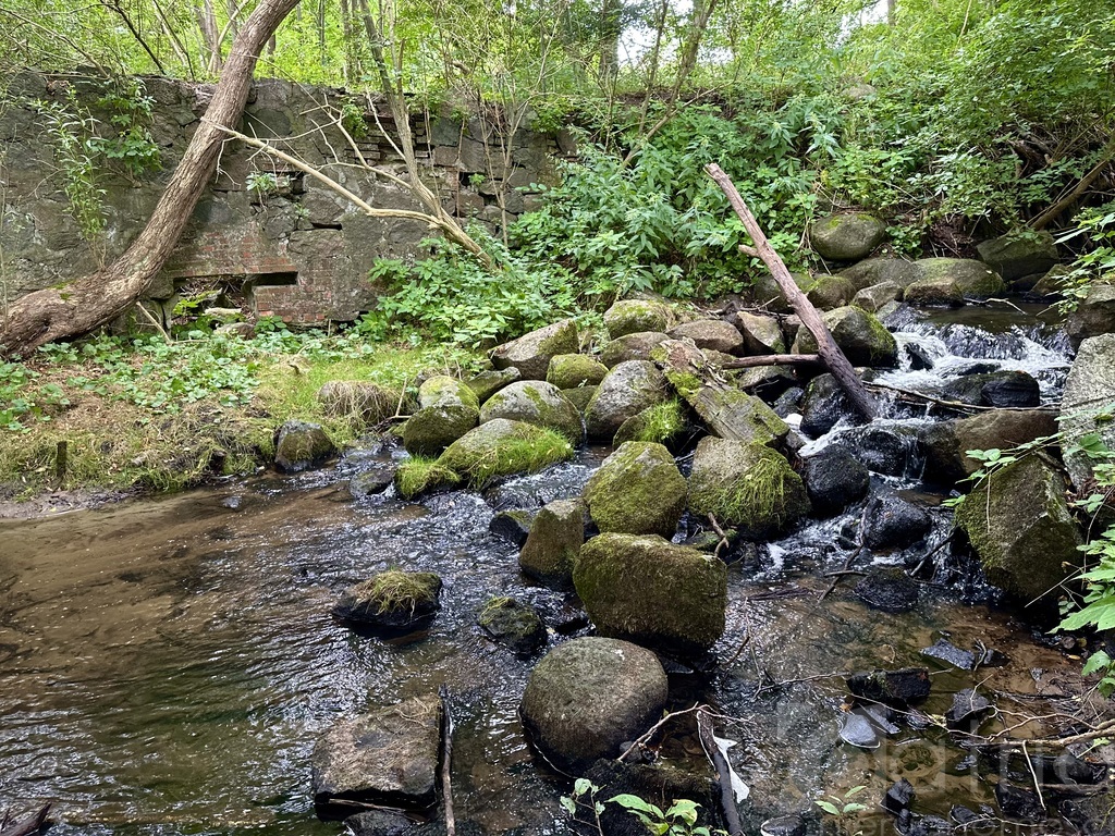 Piękna działka w Stawnie, 2,92 ha (2)