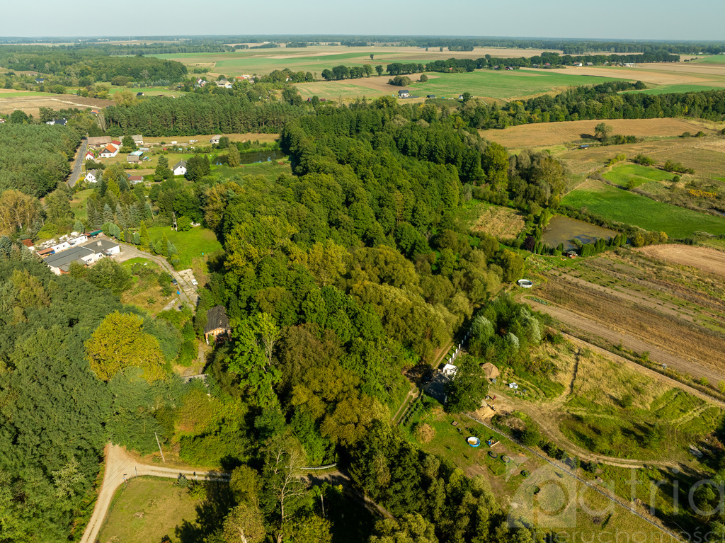 Piękna działka w Stawnie, 2,92 ha (5)