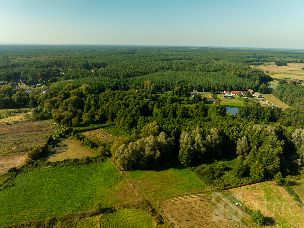 Piękna działka w Stawnie, 2,92 ha (9)